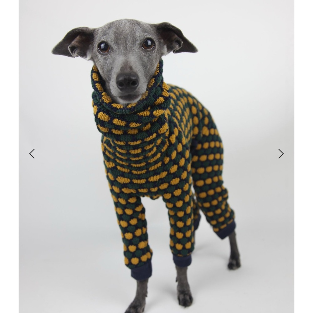 Jute and sable dog onesie